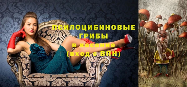 меф Арсеньев