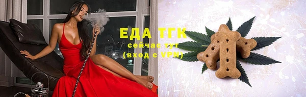дурь Инта