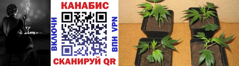 Каннабис марихуана  Советский 